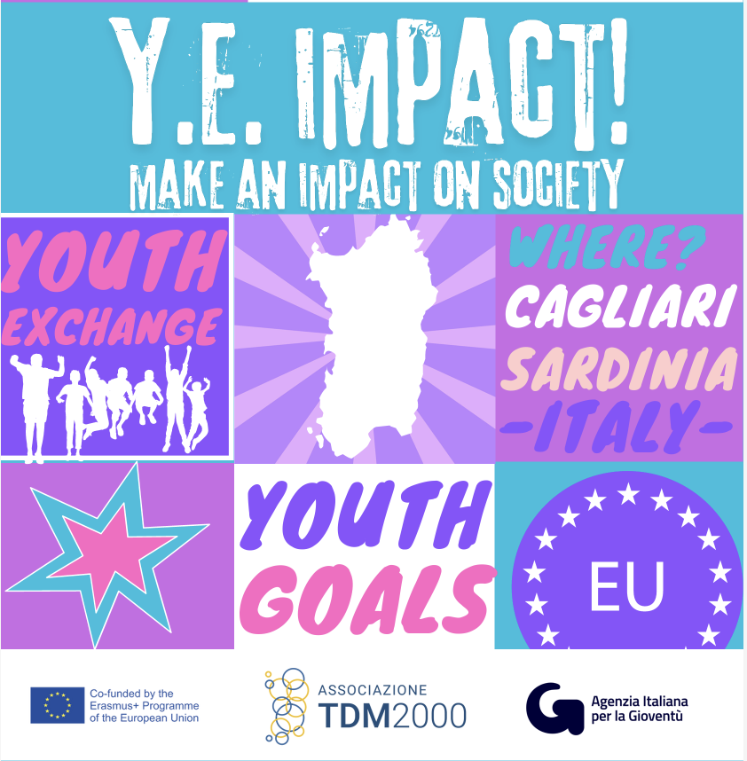 IMPACT! – Make an Impact on Society: giovani in azione per i diritti umani